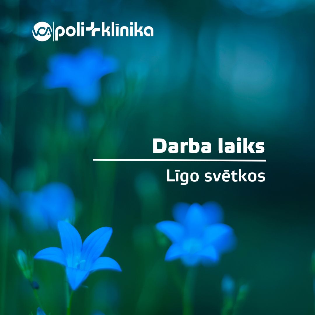 Darba laiks Jāņos